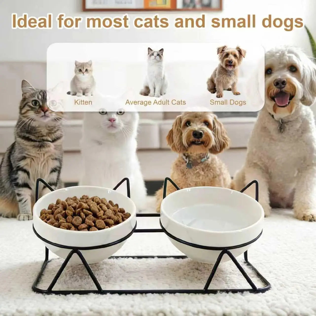 Elevated Tilted Cat Bowls for Indoor Cats，Raised Ceramic Cat Bowl Elevated 15°,Pet Feeding Bowls for Food and Water Anti Vomitin