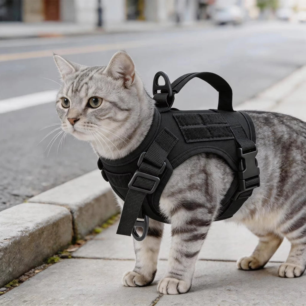 Tactical Cat Harness/Vest Leash Set, Adjustable, Escape Proof, Handle