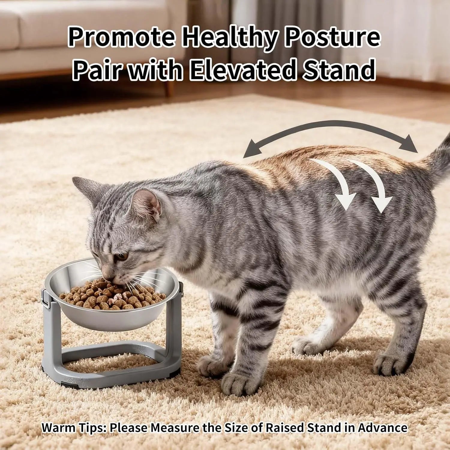 6PCS Stainless Steel Cat Bowls Dishes, 5.6” Metal Shallow Wide Whisker Friendly Cat Food Water Feeding Bowl, Kitten Plates, Basi