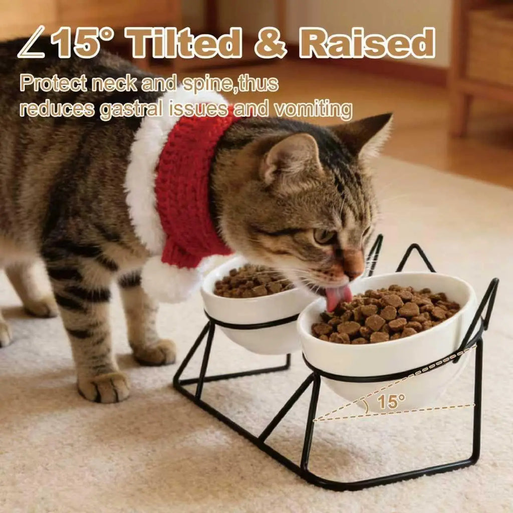 Elevated Tilted Cat Bowls for Indoor Cats，Raised Ceramic Cat Bowl Elevated 15°,Pet Feeding Bowls for Food and Water Anti Vomitin