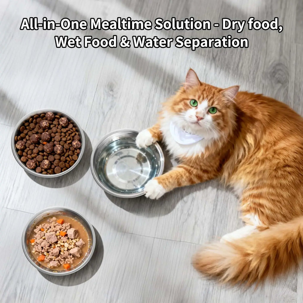 6PCS Stainless Steel Cat Bowls Dishes, 5.6” Metal Shallow Wide Whisker Friendly Cat Food Water Feeding Bowl, Kitten Plates, Basi