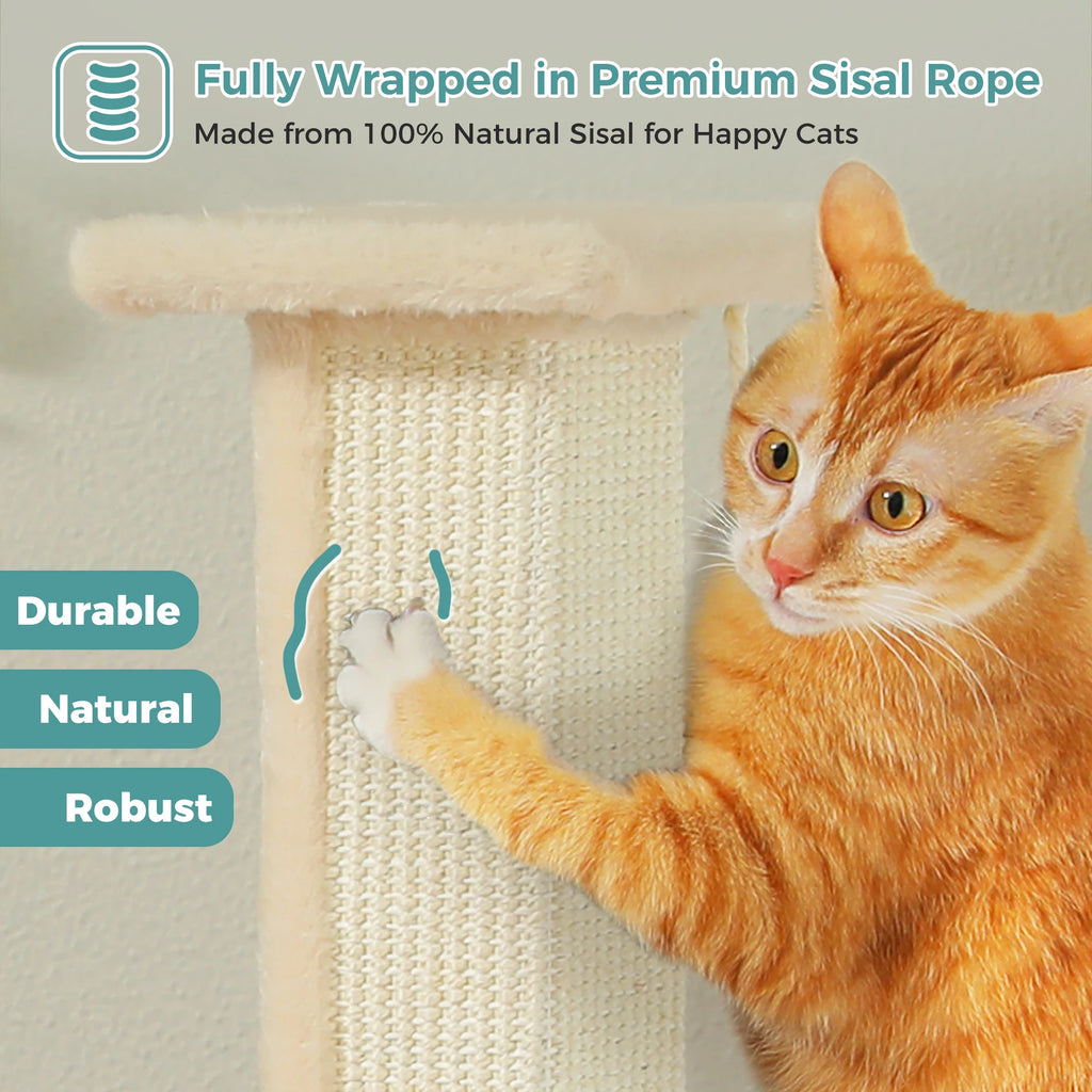 Cat Scratching Post for Cats, Dangling Ball, Cat Toy