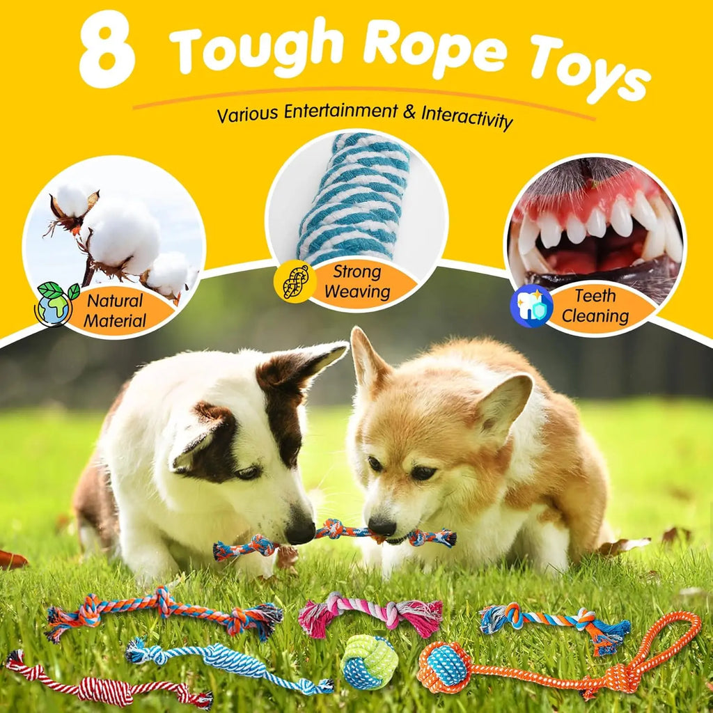 25 Pack Chew Toys For Puppies/Dogs, Ropes, Treats, Squeaky with Ropes, Treat Ball and Squeaks