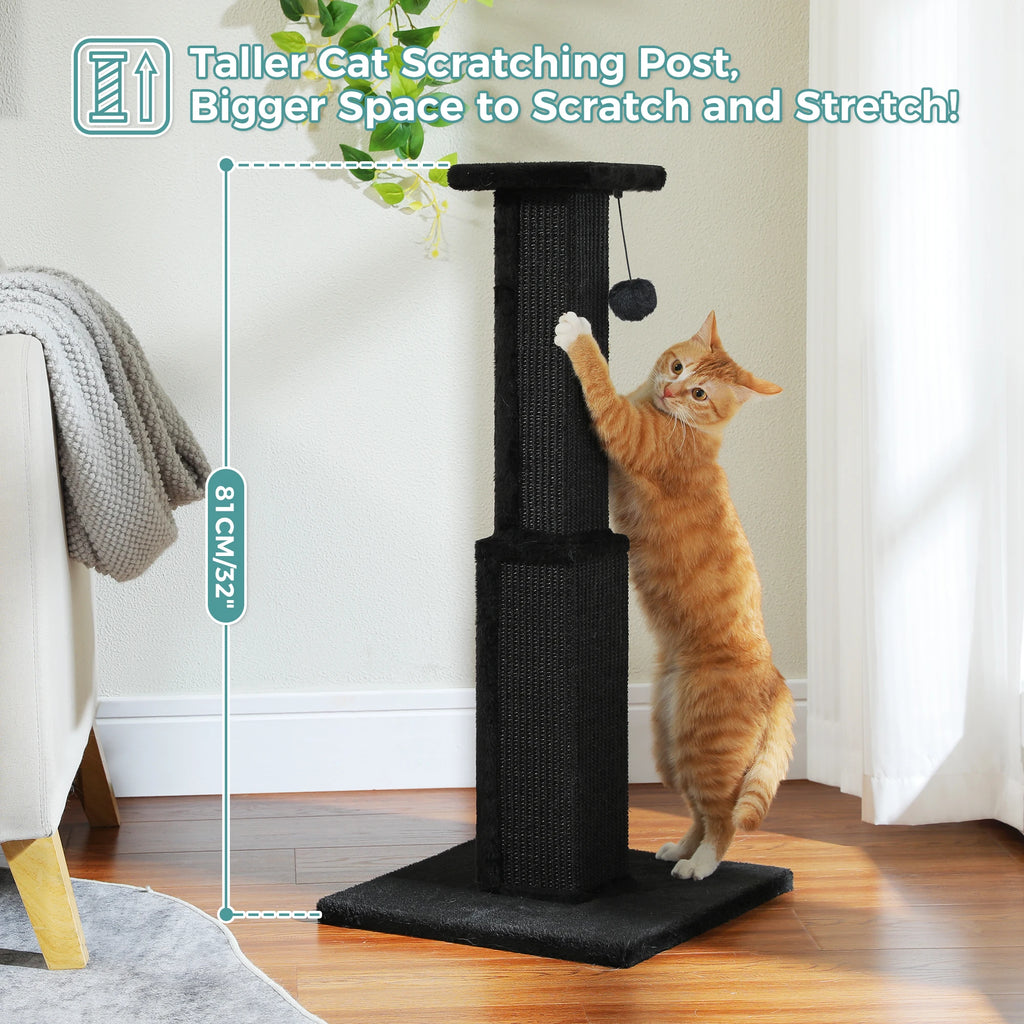 Cat Scratching Post for Cats, Dangling Ball, Cat Toy