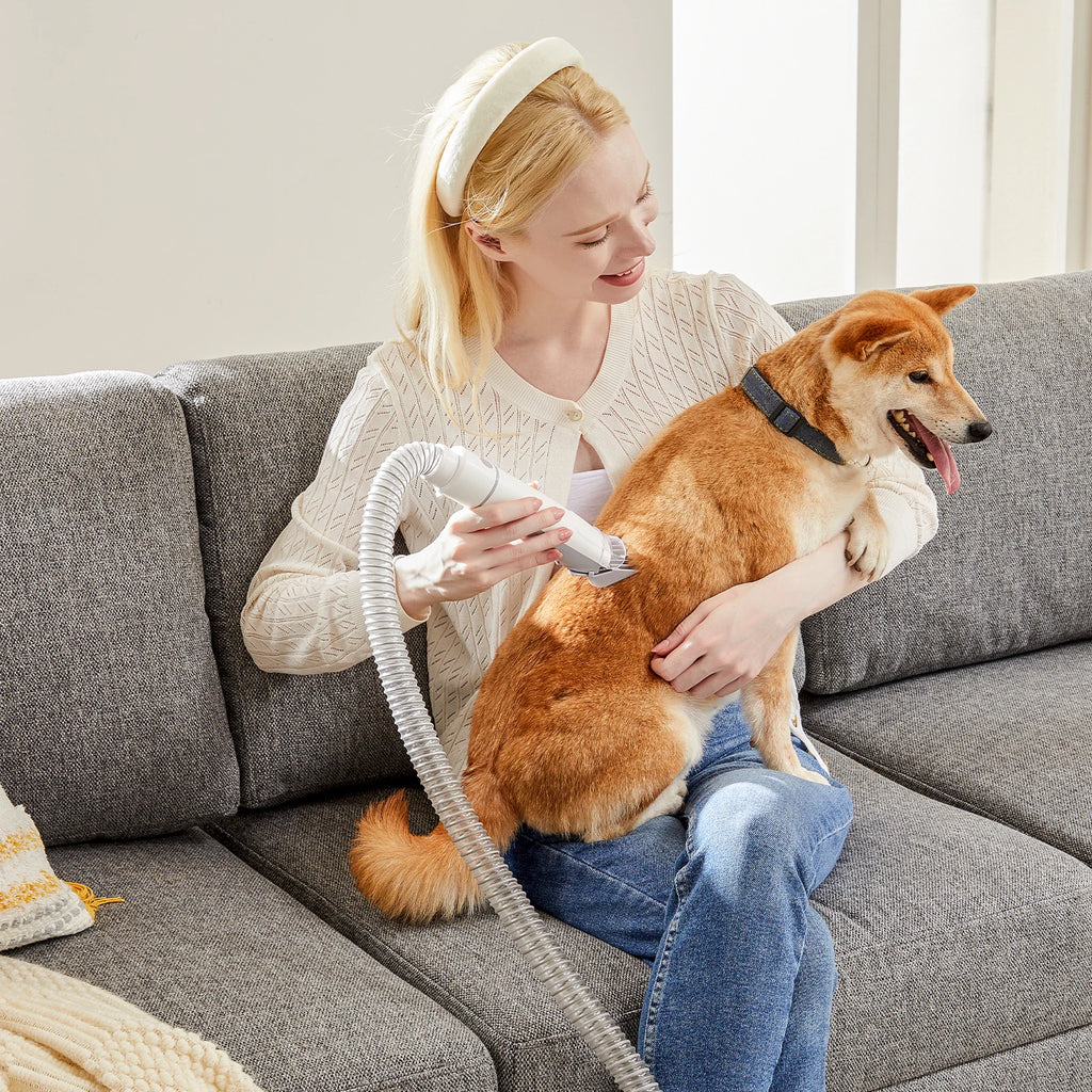 2.5L Pet Grooming Vacuum, 3 Modes, 5 Tools, Cordless