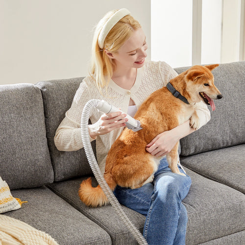 2.5L Pet Grooming Vacuum, 3 Modes, 5 Tools, Cordless