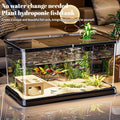 Large Aquarium With Lid, Spill-Proof, For Fish, Turtle, Aquatic Plants