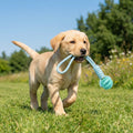Cotton Rope & Rubber Dog Chew Ball, Treat Dispenser, Durable, Teething