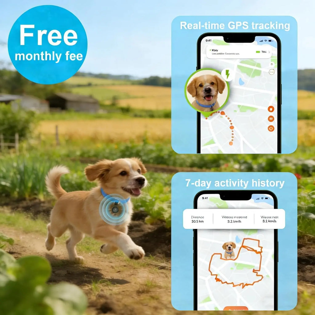 Smart Collar GPS For Dogs, No Monthly Fee, iOS