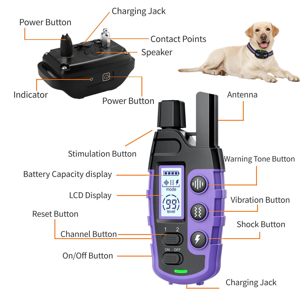 Electric Dog Training Collar, Remote Control, Waterproof