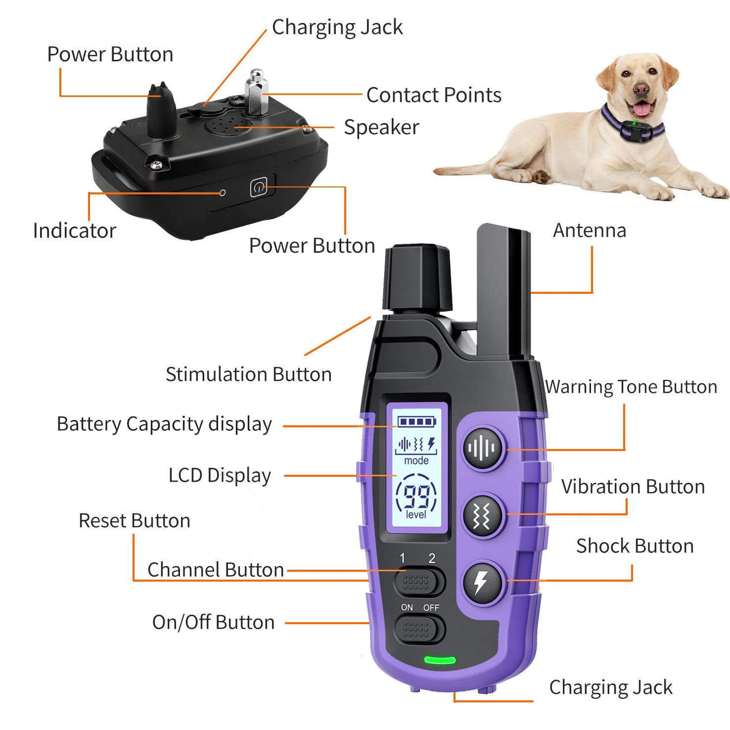 Electric Dog Training Collar, Remote Control, Waterproof