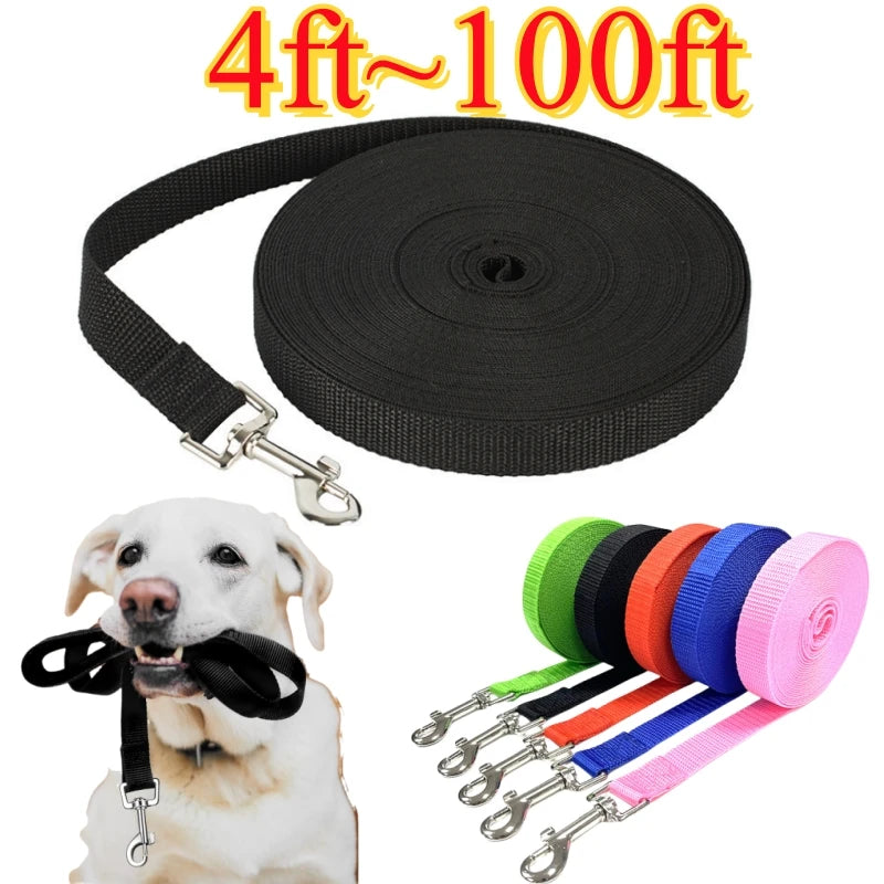 4ft-100ft Nylon Dog Leash, Dogs, Training