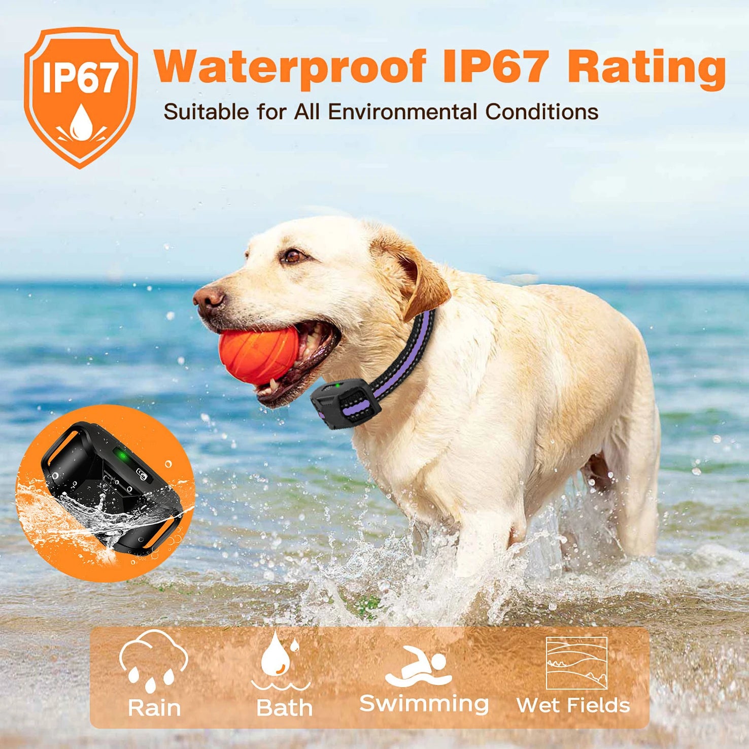 Electric Dog Training Collar, Remote Control, Waterproof