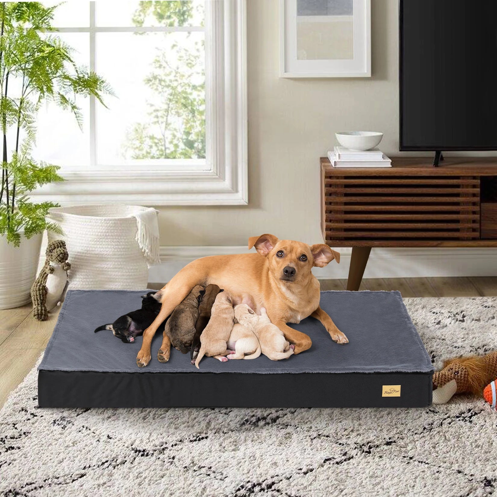 Dog Beds for Medium/Large Dogs, Waterproof Lining, Non-Slip Bottom, Washable
