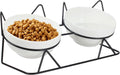 Elevated Tilted Cat Bowls for Indoor Cats，Raised Ceramic Cat Bowl Elevated 15°,Pet Feeding Bowls for Food and Water Anti Vomitin