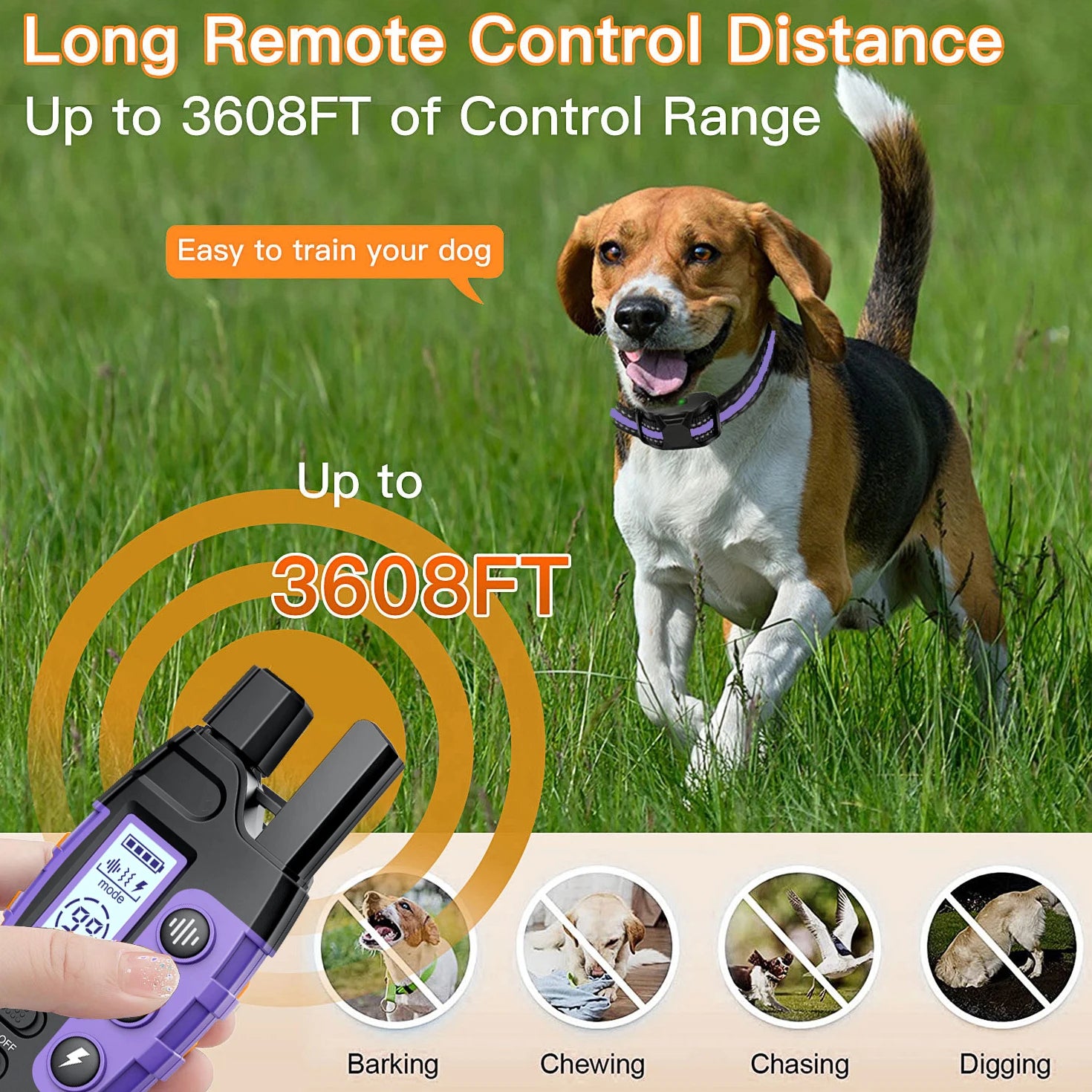 Electric Dog Training Collar, Remote Control, Waterproof
