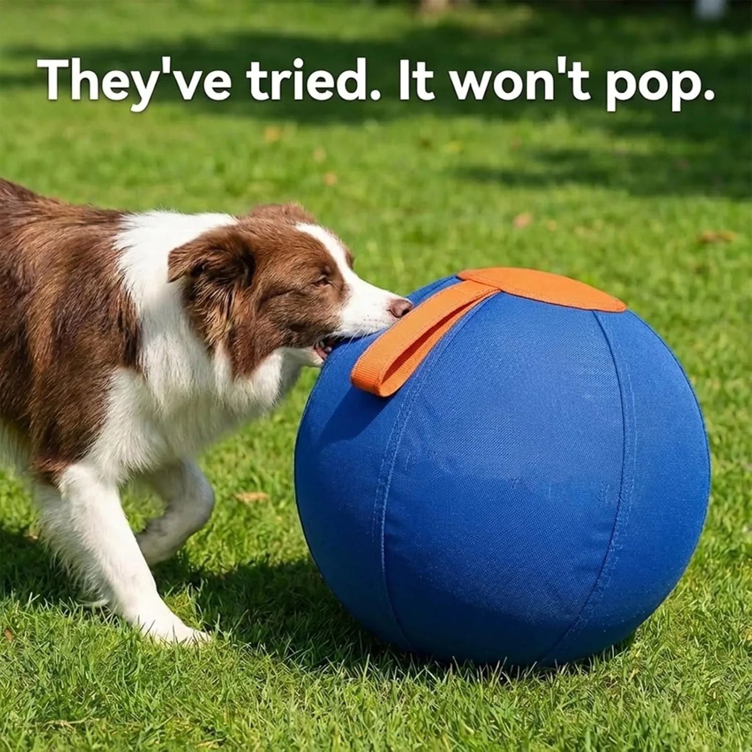 Dog Herding Ball, Enrichment Ball, Tear-Resistant,