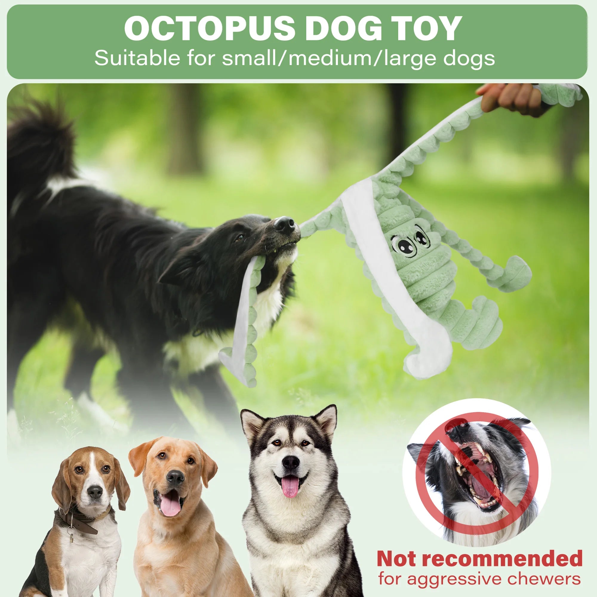 Squeaky Plush Toy, Chewing Toy