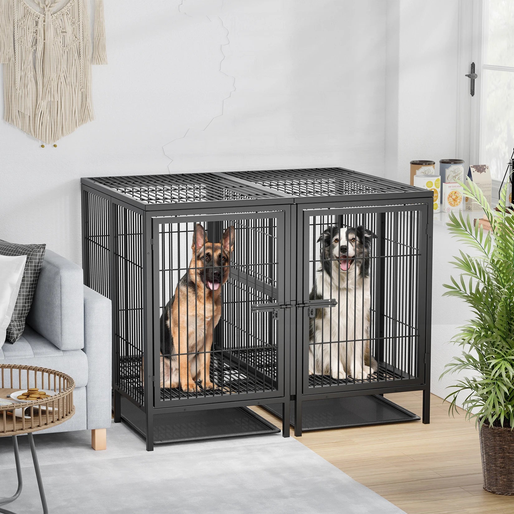 Heavy Duty Dog Crate: 52 Inch, Removable Divider