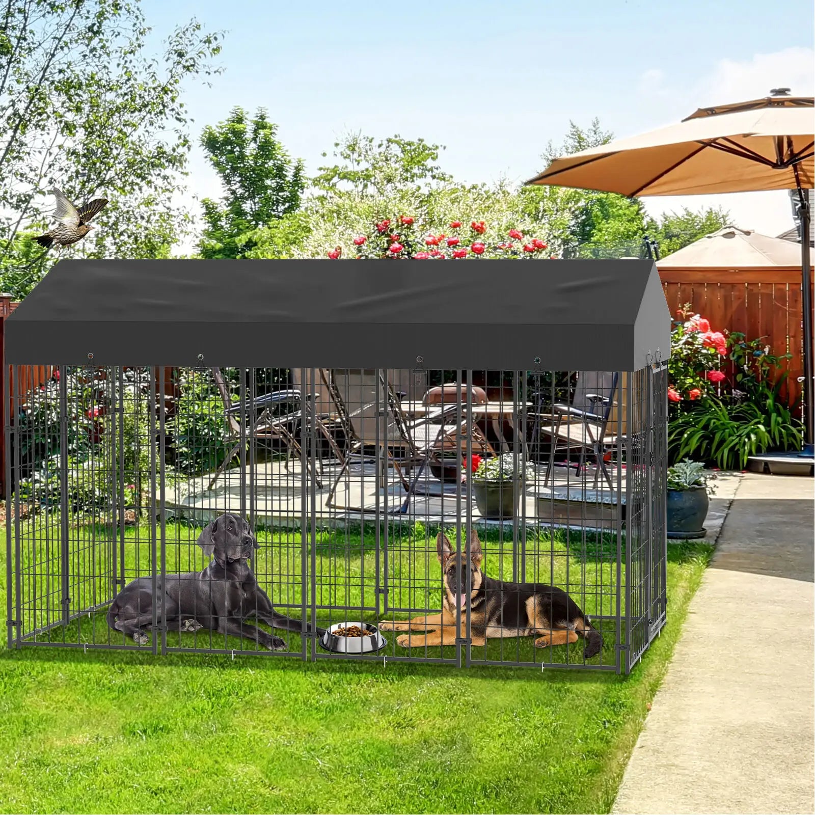 Large Dog Cage, Enclosure, Playpen With Roof, Outdoor Kennel