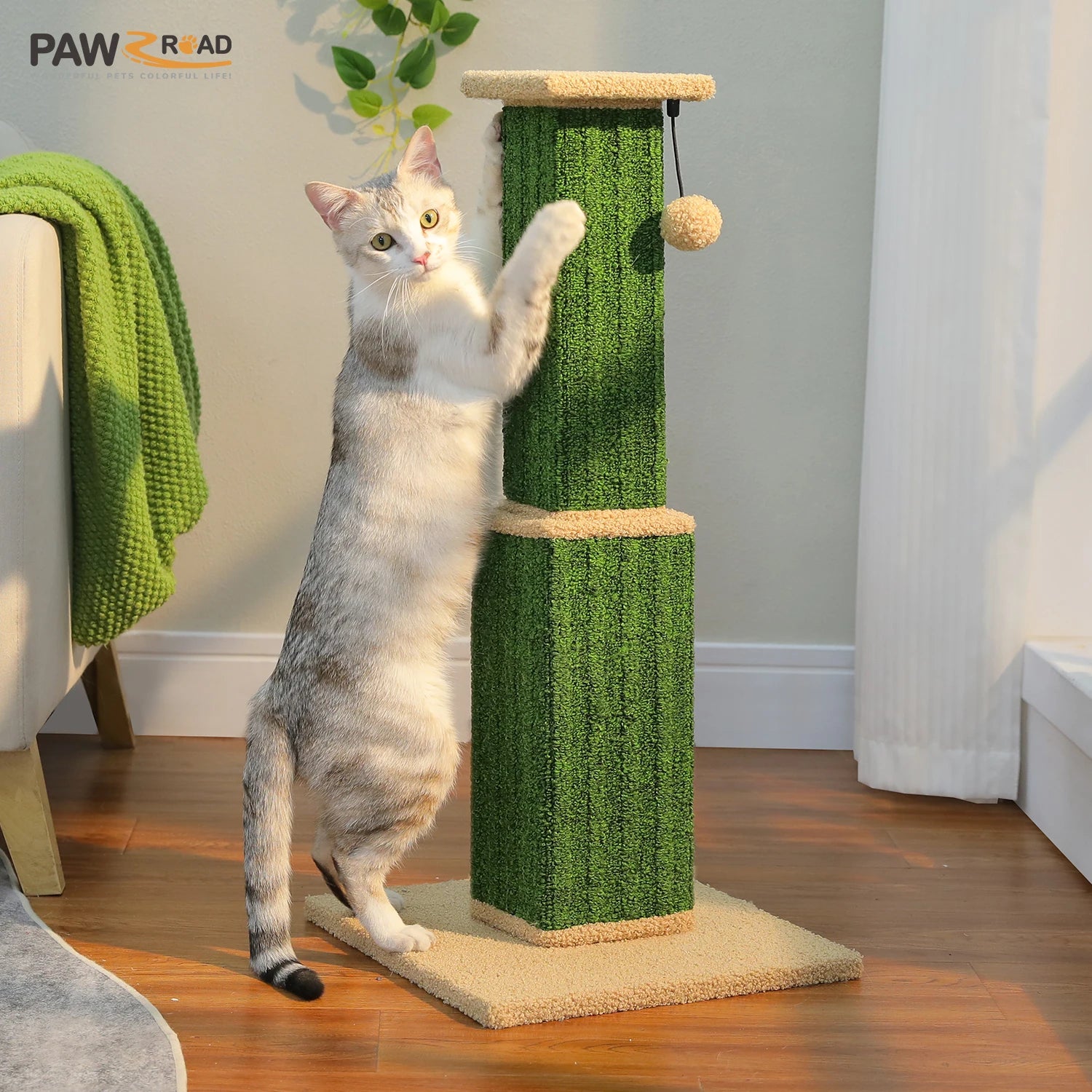 Cat Scratching Post for Cats, Dangling Ball, Cat Toy