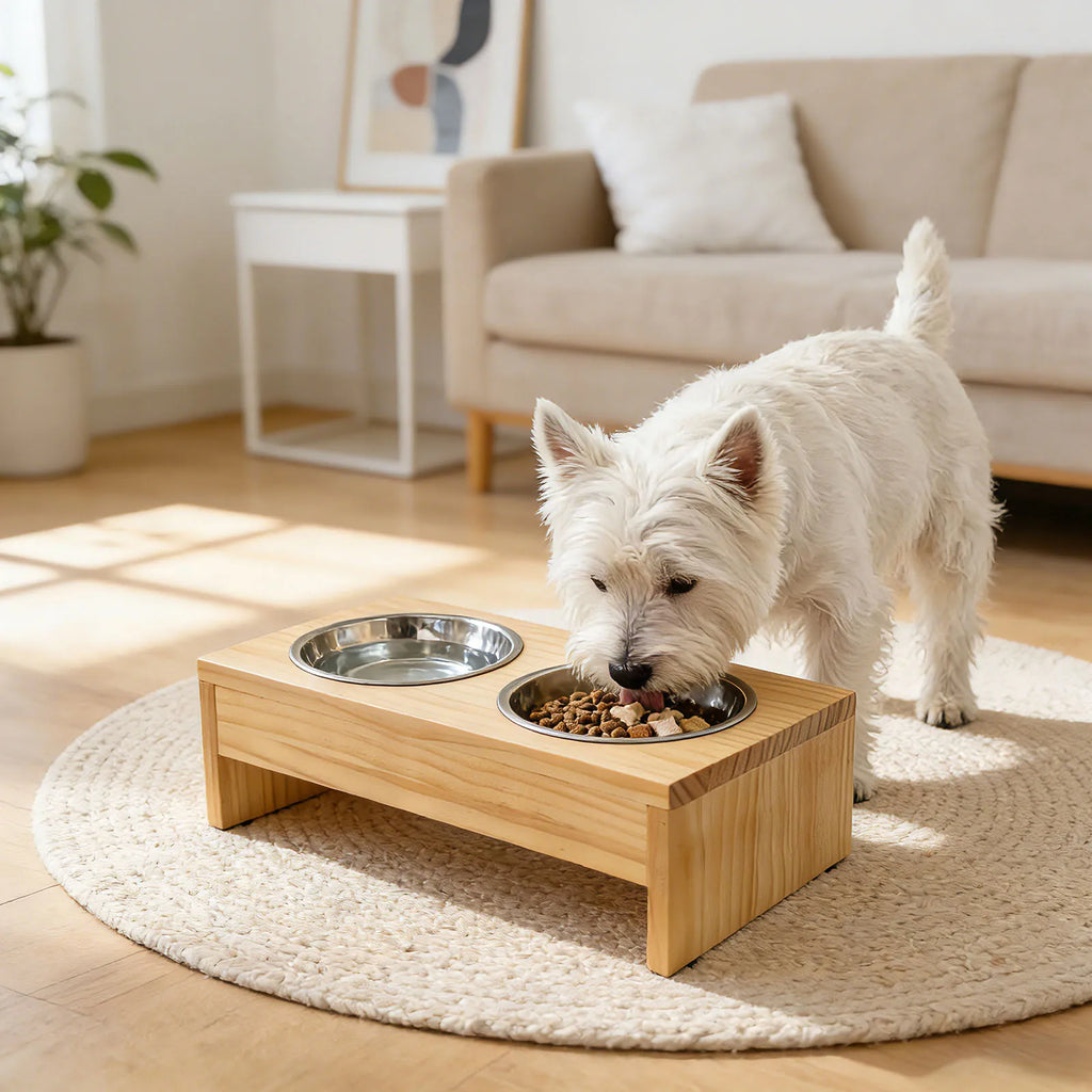 Double Bowls, Raised, For Medium-Large Dogs, Stainless Steel