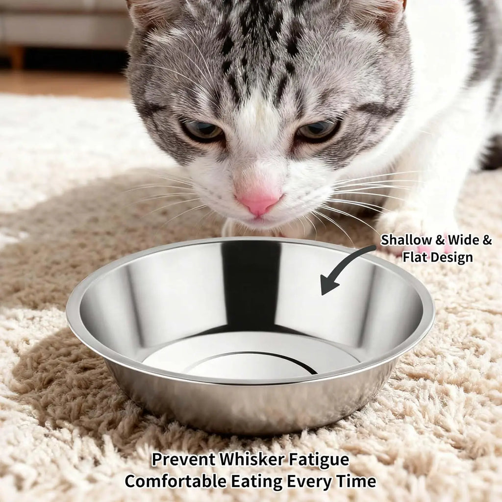 6PCS Stainless Steel Cat Bowls Dishes, 5.6” Metal Shallow Wide Whisker Friendly Cat Food Water Feeding Bowl, Kitten Plates, Basi